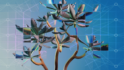 A photographic rendering of a young houseplant against a neutral background, seen through a refractive glass grid and overlaid with an single neuron from a neural network diagram.