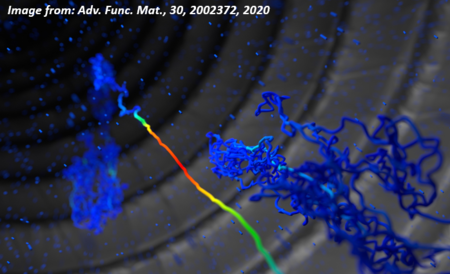 A polymer flowing down a narrow capillary. The project investigates similar large macromolecules and how they change under manufacturing conditions.