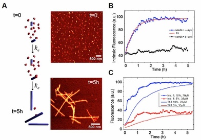 Time resolved fluoroescent microscopy used to study protein misfolding and aggregation. Both processes lie at the root of neurodegenerative diseases.