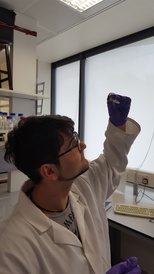 checking_sample