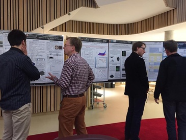 MRes mini-research projects