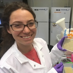Dr Diana Fusco