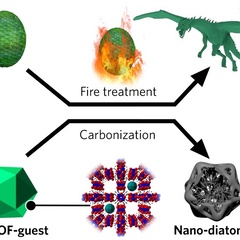 Sensor CDT Student creates carbon-based structure with multi-level hierarchy in a simple way
