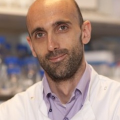 Dr Christian Frezza