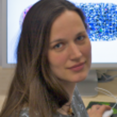 Dr Karen Lipkow
