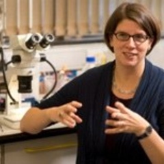 Dr Katja Röper