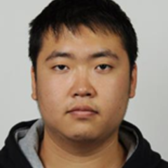 Tiesheng Wang