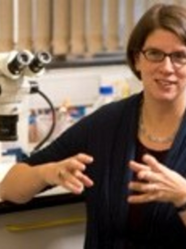 Dr Katja Röper