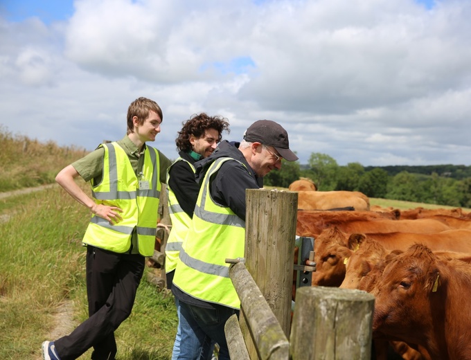 Team Challenge students with the cows