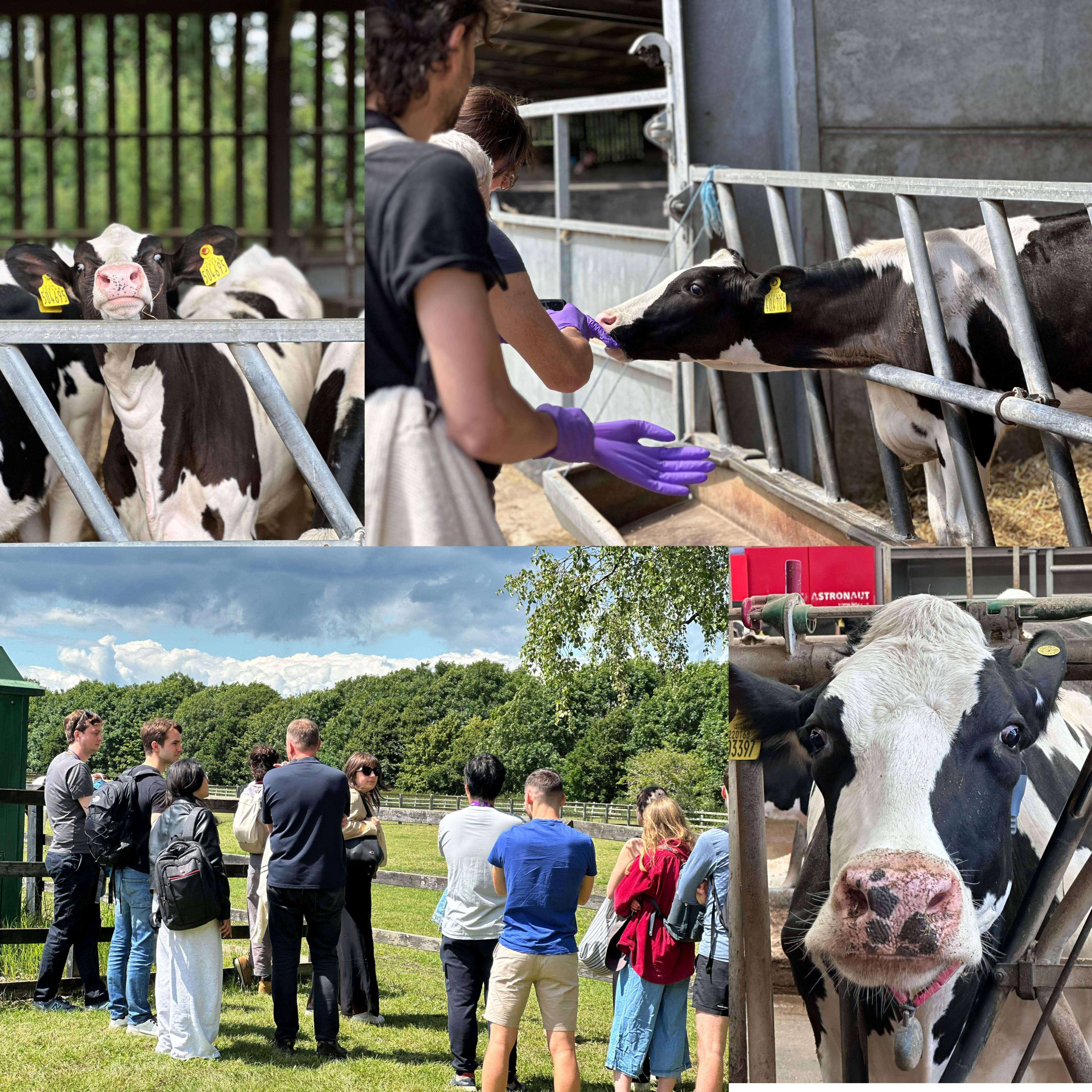 Team challenge vet school visit